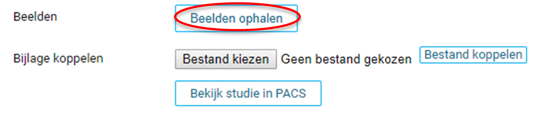 Afbeelding9_fundus.png