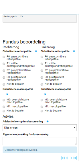 Afbeelding15_fundus.png